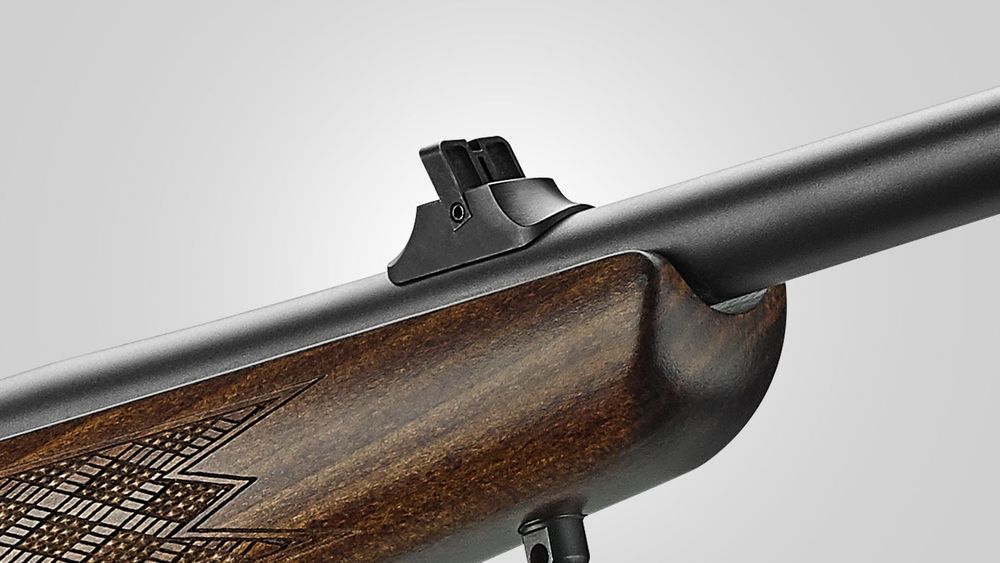 Adjustable iron sights